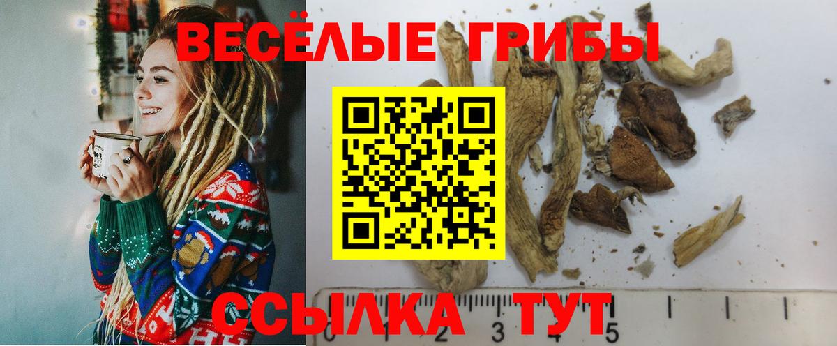 Галлюциногенные грибы Cubensis Вязьма